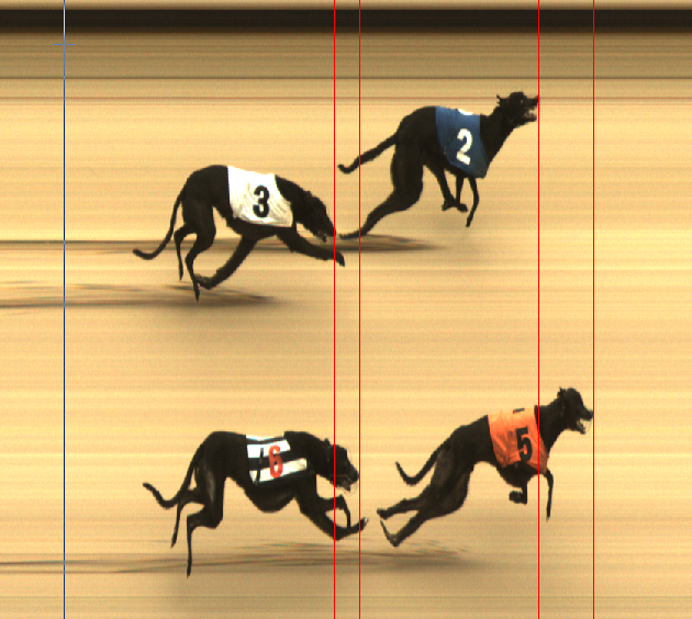 Tuesday 27th May - Race 9 (D3)
Photofinish📸
Winner Trap 5 - Notorious Regan🥇
Second Trap 2 - Daves Blitz🥈
Third Trap 6 - Fast Donkey🥉
Winning Time = 15.69⏰