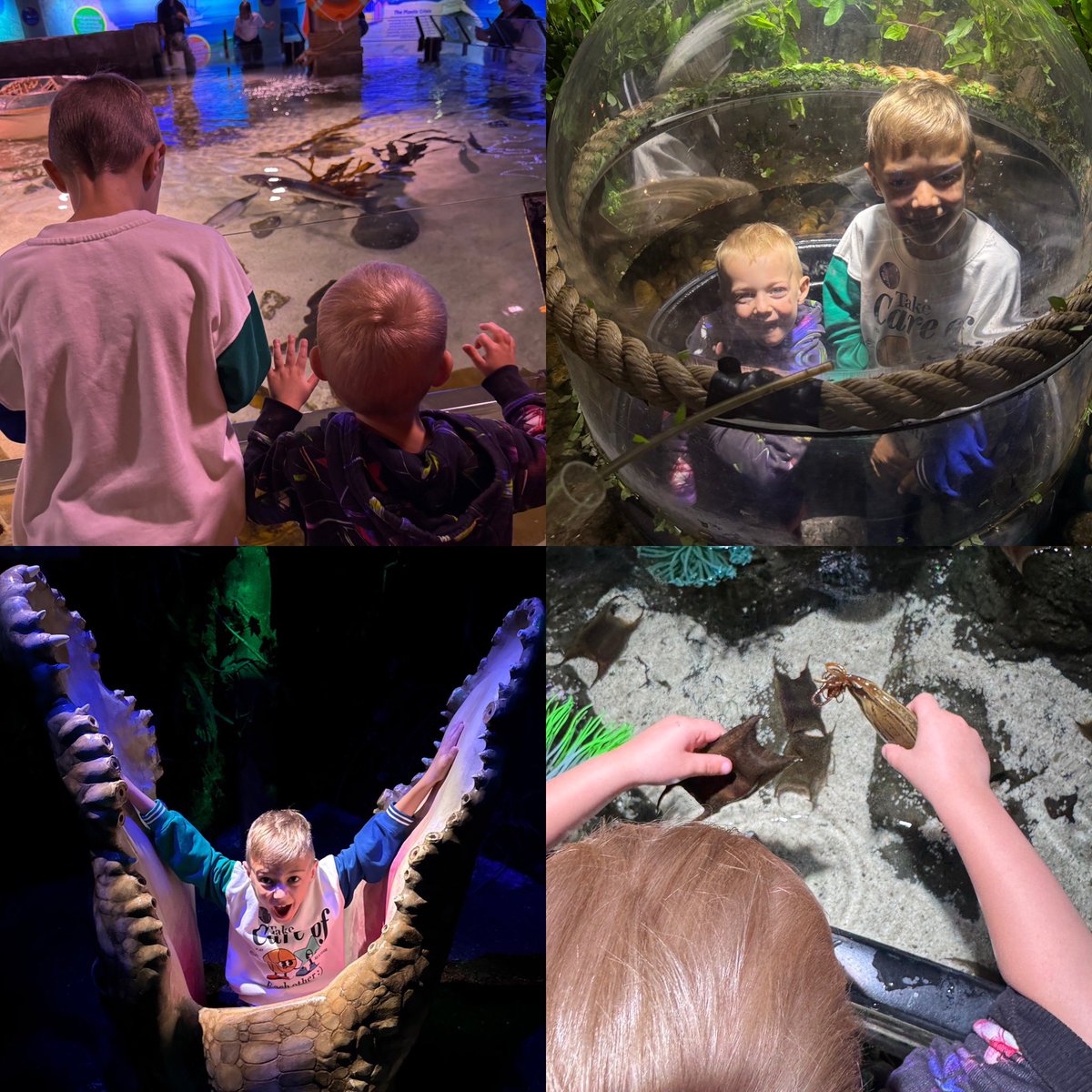 deputyheaduk's tweet photo. Lovely day with the boys at @london_aquarium - they love it every time! #halfterm #familytime #merlinpass https://t.co/CGooaYZMsT