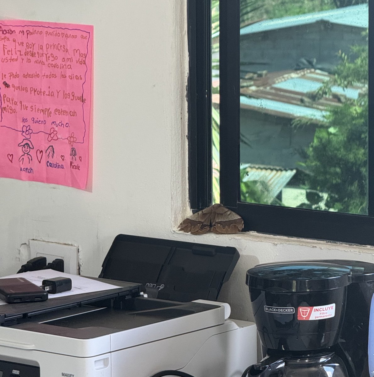 Only in El Salvador does your workers scare the shit out of you…
“Aaron be careful. These mariposas show up when someone dies near to you” 
I called my wife and said, “don’t let Sisa play with small objects”
Our engineer overheard and laughed out loud showing me pics of hundreds