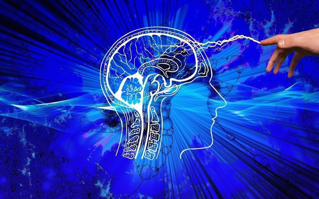 Some studies suggest that requiring survivors to retell a traumatic experience during therapy sessions may be re-traumatizing the client in order to fix them.
In this article, our guest contributor advocates for a new way to treat and think of trauma. buff.ly/3HKqaRS