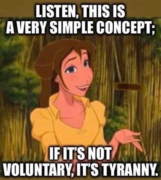 Taxation Is Theft (@taxationestheft) on Twitter photo 