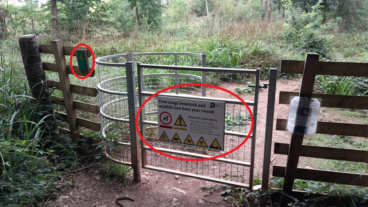 Avon Wildlife Trust tweet media