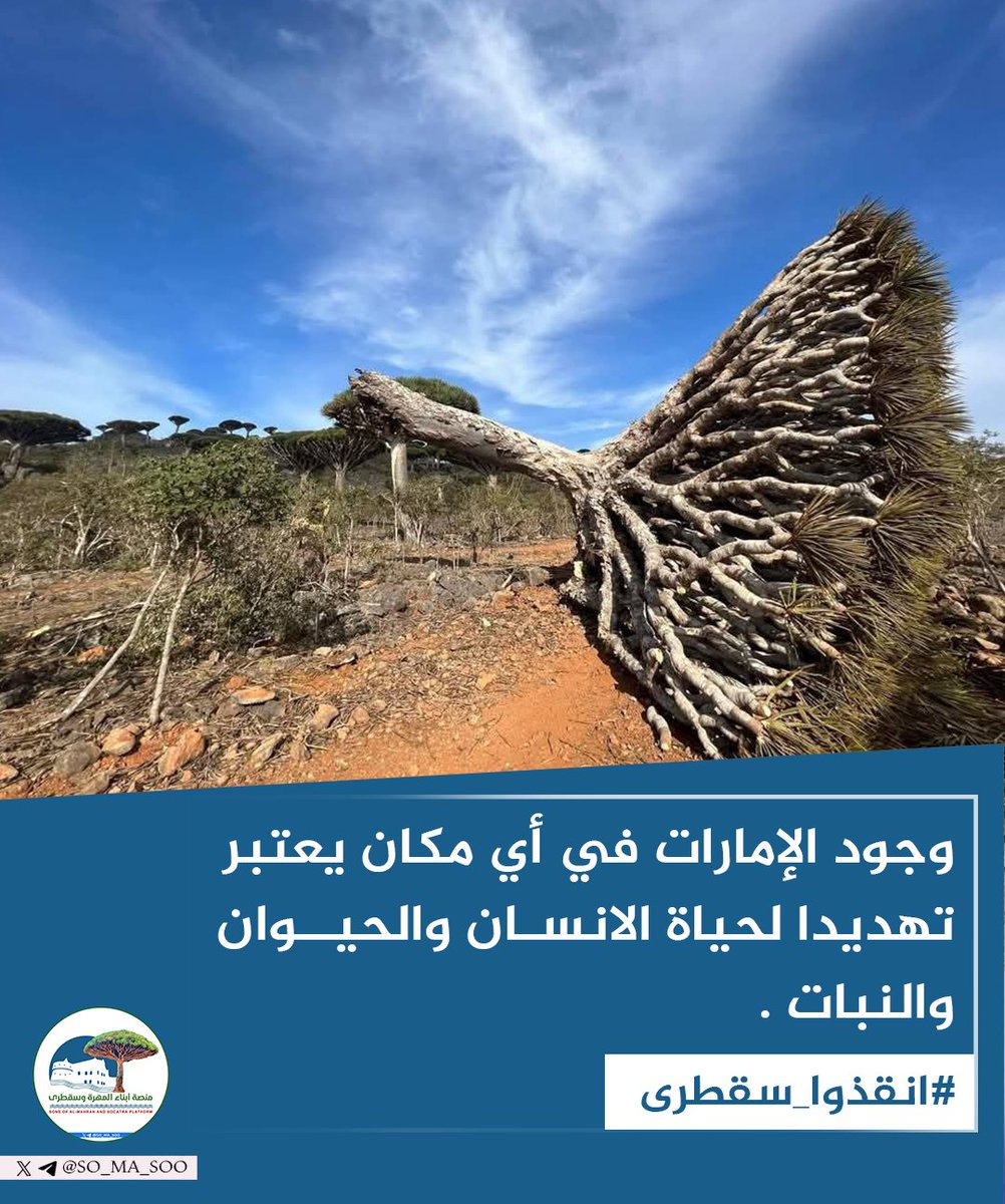 وجود الإمارات في أي مكان يعتبر تهديدا لحياة الانسان والحيوان والنبات . 

#انقذوا_سقطرى