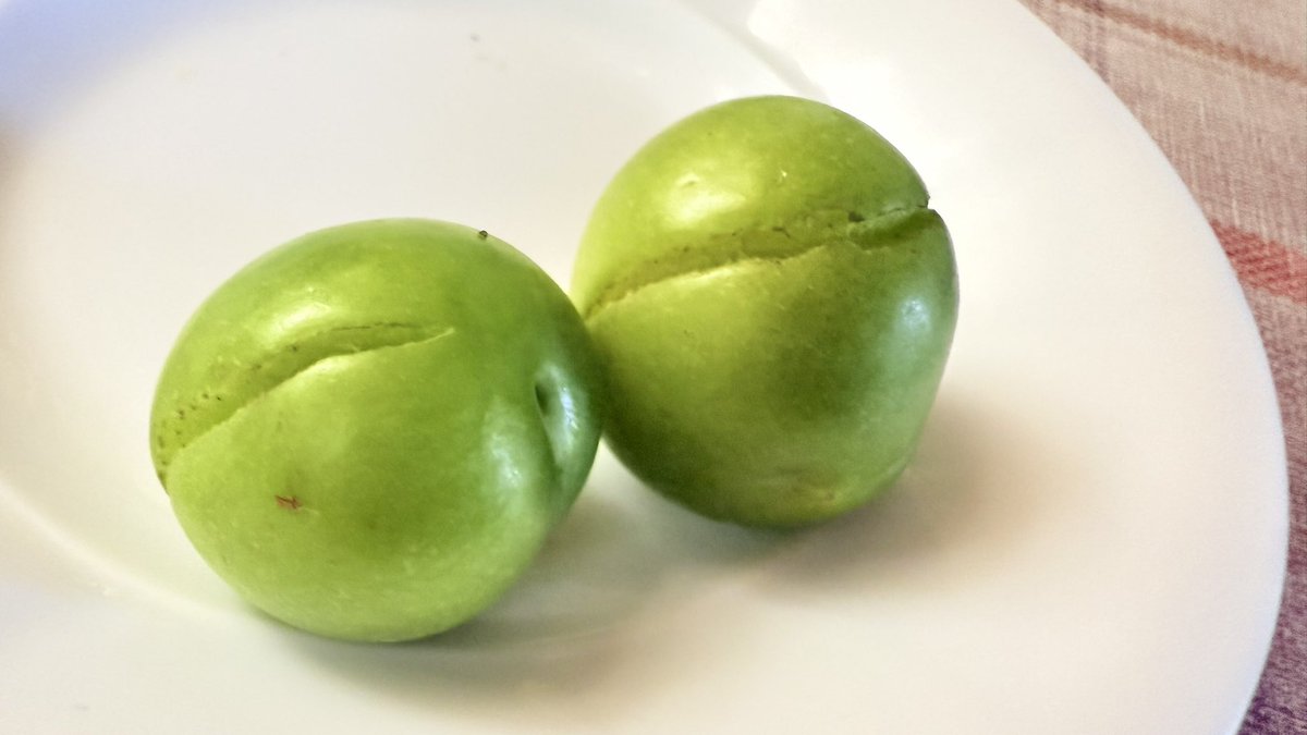 En iyileri sabrederek en tatlı en sulu hali ile tüketmek arzusuna yağmur sonrası aman çatlayanları yeriz önce moduna giriş. 

Bu papaz erikleri de çeşit çeşit. 

Bir fidan var ki keşke tüm papazlar böyle olsa.