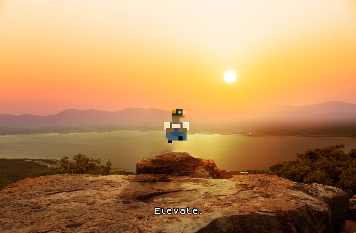 basedigger's tweet image. gm $GM.