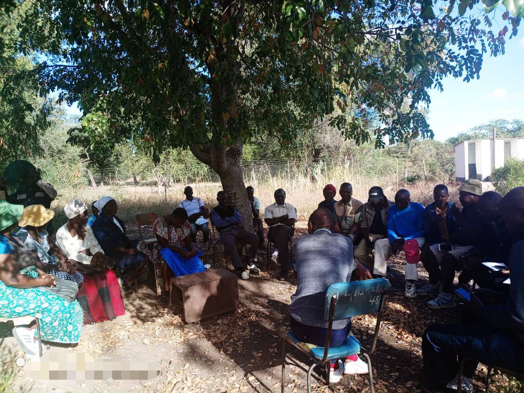 Today marks #Day7 of data collection. Data is being collected through Household Interviews, community Focus Group Discussions (FDGs) as well as District &amp; Provincial Key Informant Interviews (KIIs). 

#ZimLAC2025 #RuralLivelihoods
