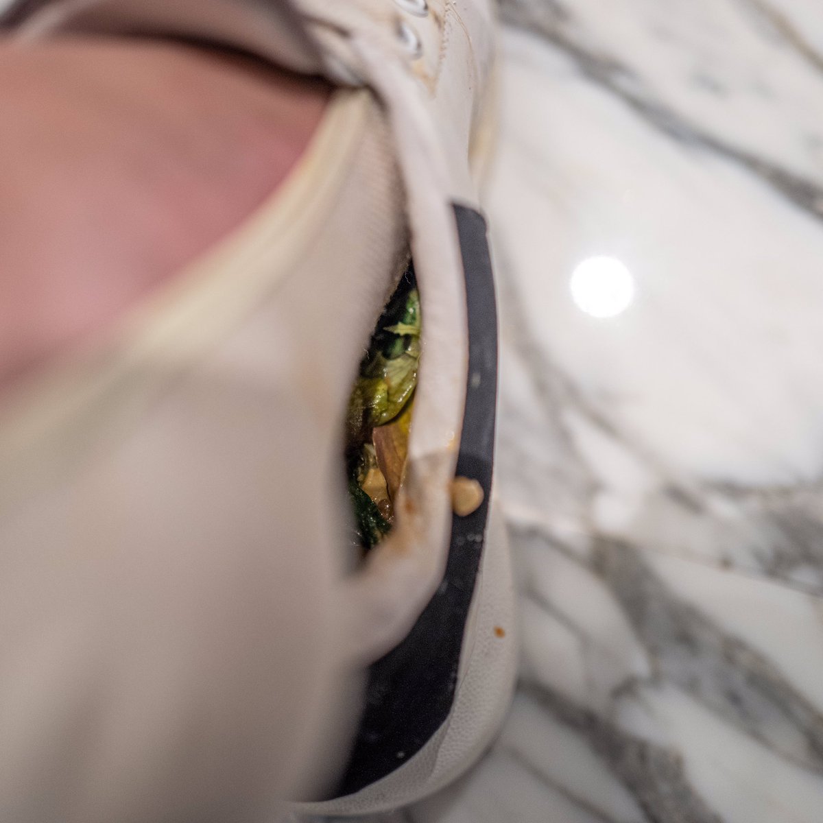 麦昆又被惩罚当作垃圾桶了呢～

吃剩的午餐被要求倒进球鞋里穿～

小白袜被搞的油腻腻的也是好刺激～

#AlexanderMcQueen #麦昆 #小白鞋 #球鞋 #运动鞋 #棉袜 #白袜 #惩罚 #反差 #毁鞋 #玩鞋 #虐鞋 #白富美 #羞辱 #羞耻