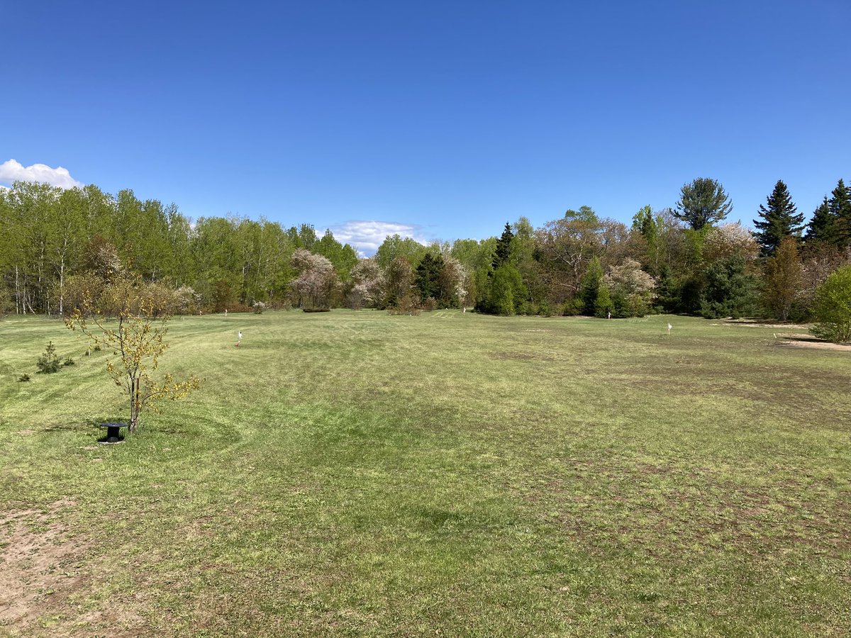 TedSmit66991036's tweet image. I just trimmed up My Golf Course.
Looks better every year.
Think I will play a round