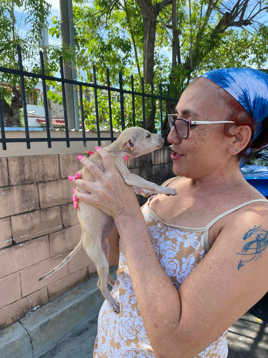 poupee169's tweet photo. #Adoptadas ♥️BB LEYLA & SARITA♥️ Gracias a Nancy Morales y Familia por adoptar este día a nuestras bebas!! Después de conocerles, estamos emocionados que las pekes tendrán una vida privilegiada.

@_EliCas_ @ElLinajedeJesus @Lina_20_20 @R3MH2 @cantanteioh @Luis_SV_2021 @LuisG18039402 @chamaguaJR @BancadaCyan @peludos_sv @herbertaceitun1 @lisaSimp95 @CALEMANR