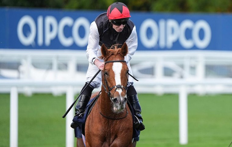 kevinblake2011's tweet photo. Sad that we won't see Kyprios on the track again, but what a legacy he built. His unbeaten campaigns of 2022 and 2024 were the most remarkable I have ever seen from a stayer, particularly the latter which came after his very serious injury. One of the greats of his division. https://t.co/p9eZirAnd5