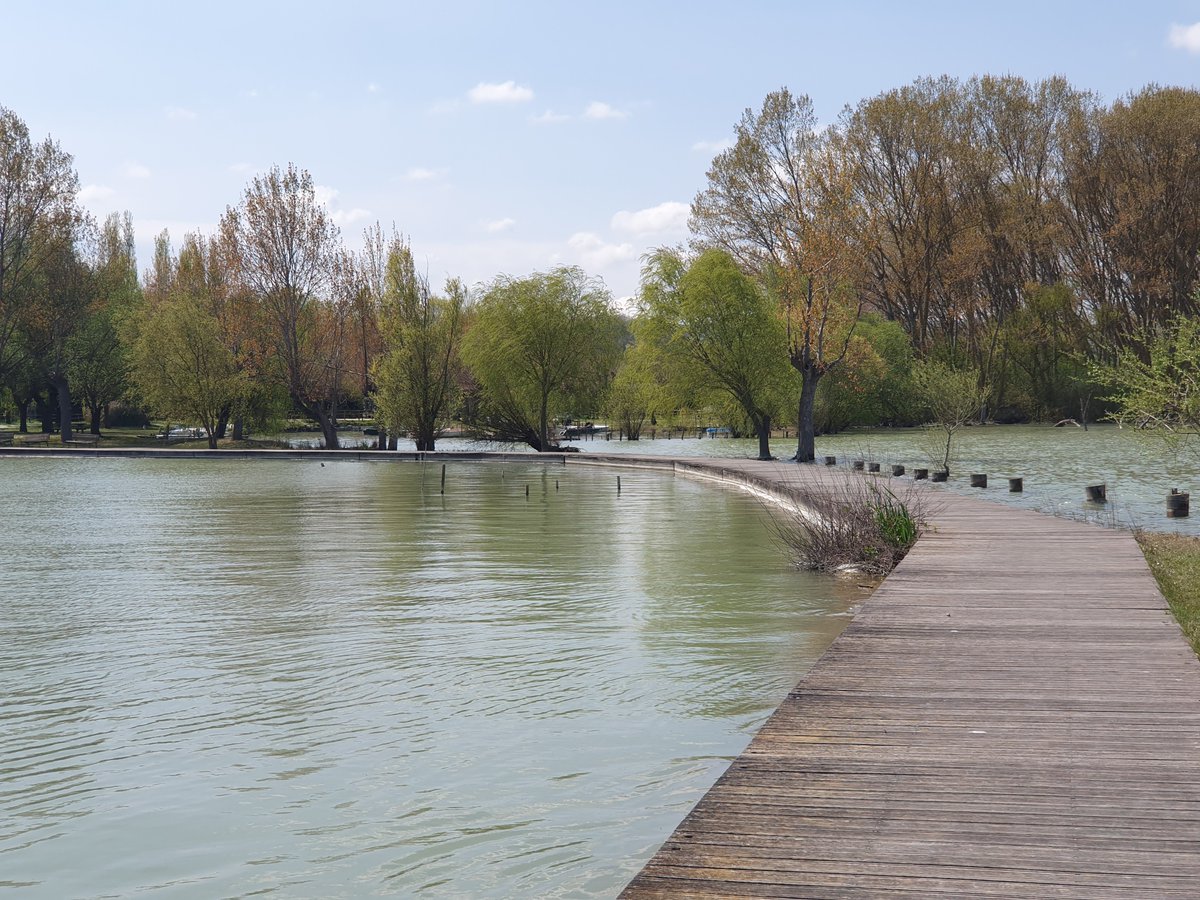 Lezione di #yoga e #picnic sulla riva del lago di #Chiusi.
Un’esperienza che unisce #relax e benessere in sinergia con la natura.
Prenota il tuo posto: bit.ly/yoga-lago-degl…

#Valdichianaliving