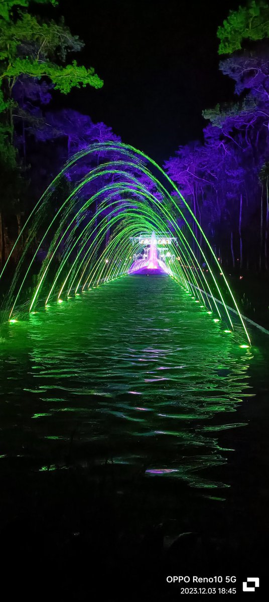 Swane47688833's tweet photo. Shanum tan Belbel=water and pine tree the serene dance between two essential elements of our environment.
#Day&NightView #ManmadePool
#Photography #WrightPark https://t.co/Tdu6Ms8JXD