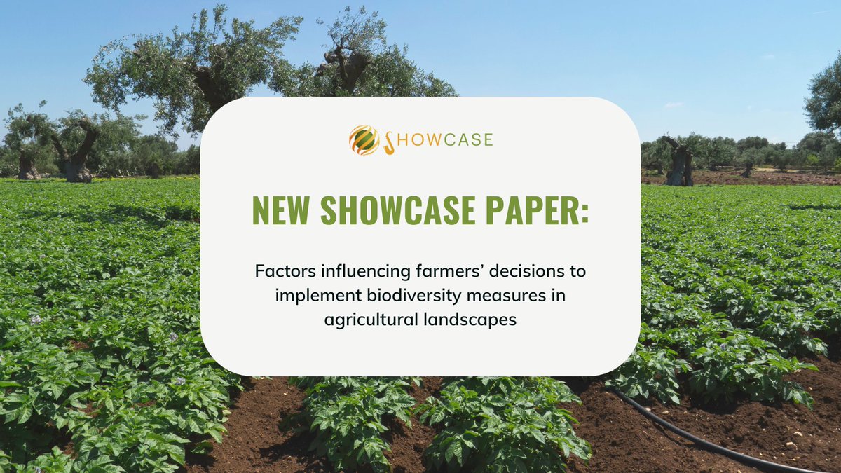 How do #farmers decide where to place wildflower strips or hedgerows?

A #SHOWCASE study surveyed EU farmers to find out. Results show choices are shaped by field traits, machinery &amp; regional culture. 

Read more about the paper's #biodiversity measures: showcase-project.eu/news/factors-i…