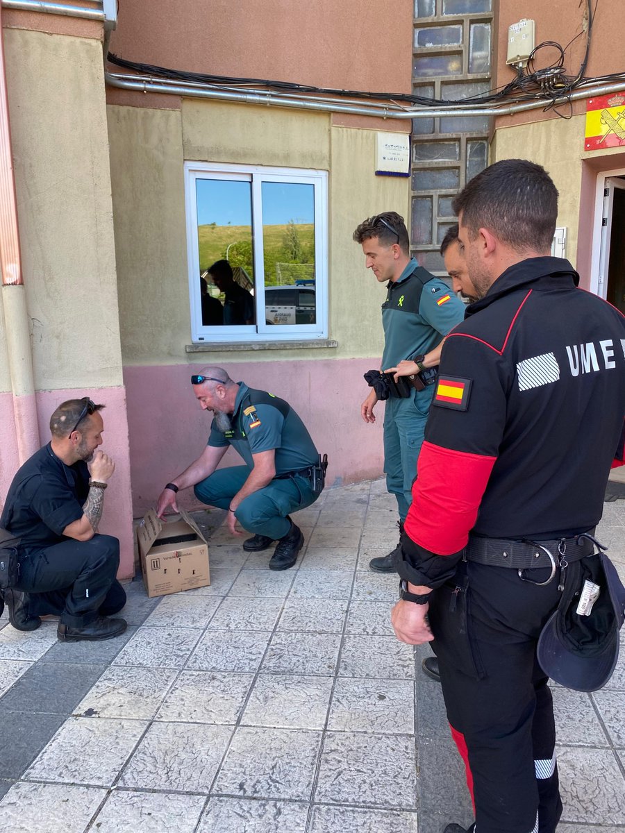 UMEgob's tweet photo. Durante el ejercicio BETA LCIF, efectivos del Quinto Batallón de la @UMEgob, han rescatado a un halcón 🦅 en las inmediaciones de la presa 🏊 de Prada. El ave fue entregada a nuestros compañeros de la @guardiacivil .

Siempre comprometidos con la protección de la fauna silvestre.💪