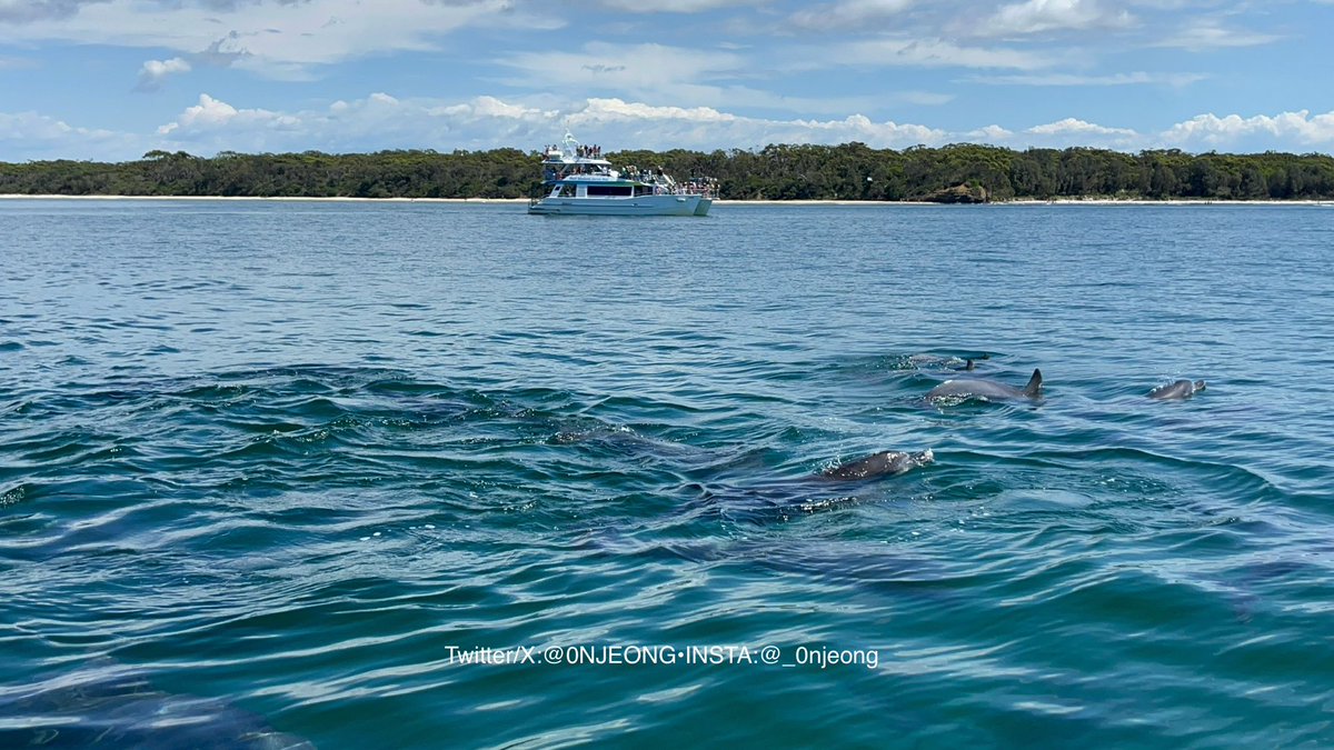 김온정 tweet media