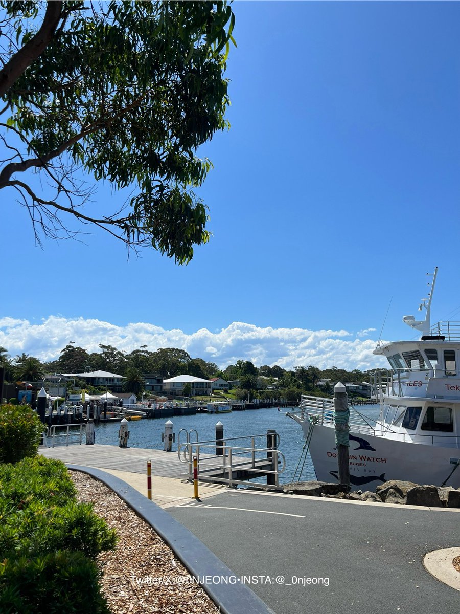 김온정 tweet media