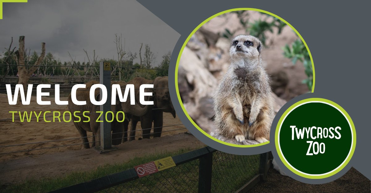 Welcome on board, the fabulous- Twycross Zoo!👋 

A conservation charity, protecting endangered species around the world🐒

We are incredibly excited to be supporting with Mystery Guest Audits, Guest Feedback &amp; Review Management to enhance the customer experience💚 

#hospitality