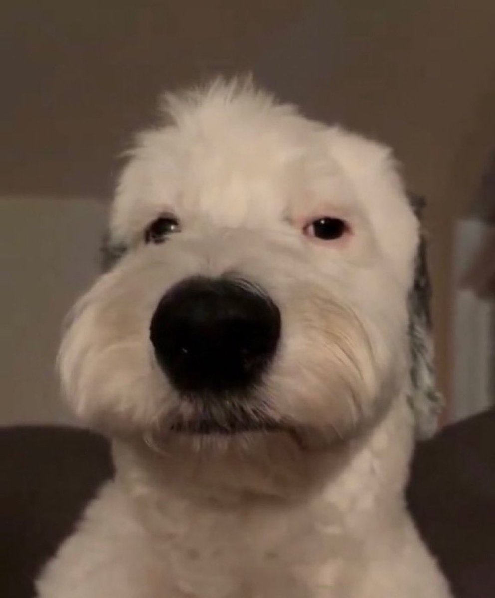 not sure why t*sa workers have so much attitude at 5 am like damn ma you just clocked in