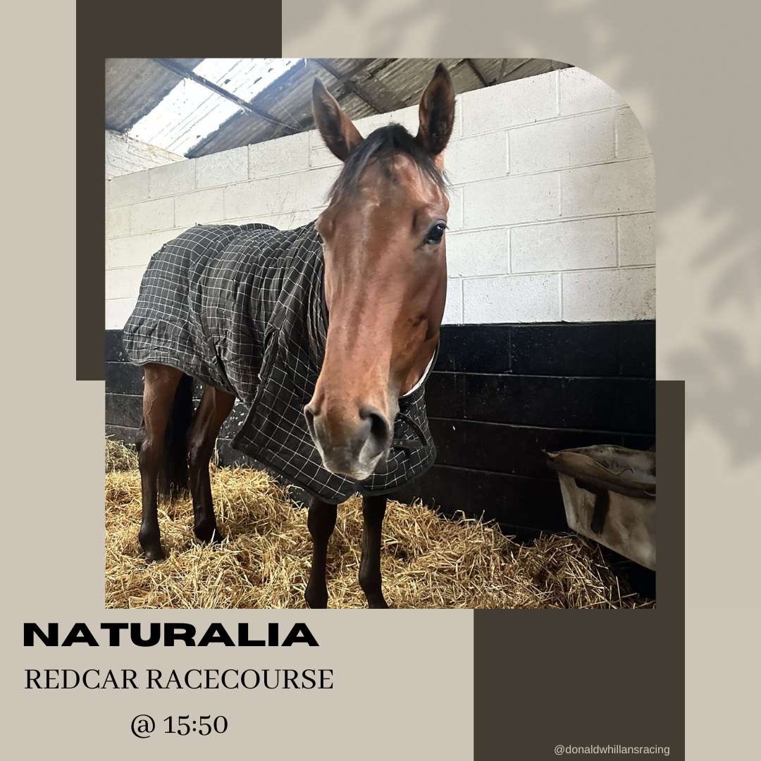 🏁Race Day🏁

We are off to <a href="/Redcarracing/">Redcar Racecourse</a> today!🐴

⏰ 15:50
🐎 NATURALIA
⚡️ <a href="/Shayfarmer123/">Shay</a> the saddle 
🔑 for The Old Firm

🤞🏼Good Luck Team🤞🏼