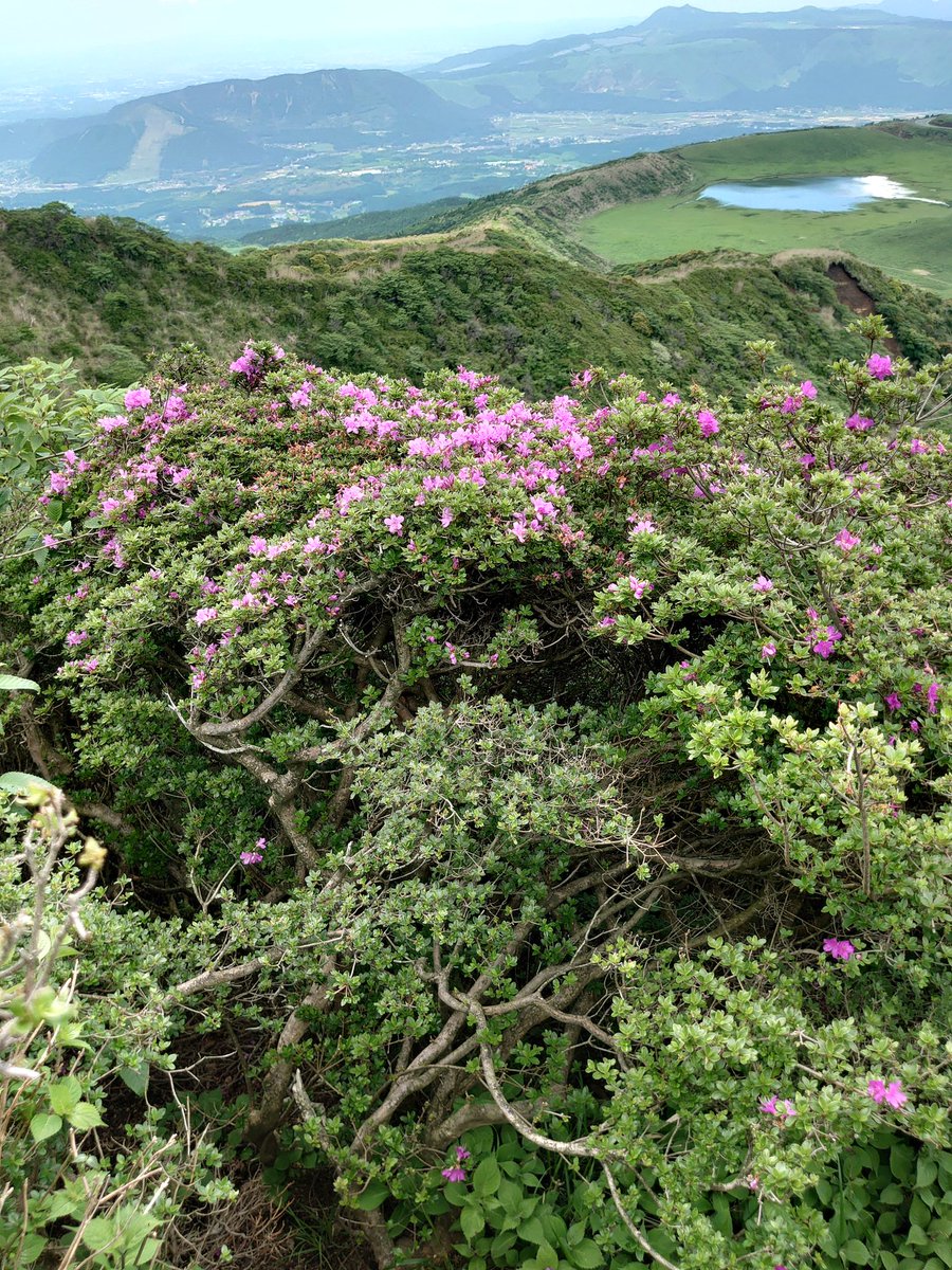 bomberhal26's tweet photo. 今日は烏帽子岳に登山してきました。
疲れたけど、楽しかった🥴 https://t.co/u4Cpt6V9I0