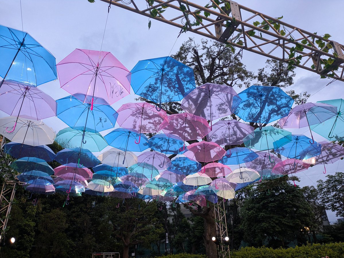 すわほー🐧☂️☂️☂️☂️☂️
#東京ヤクルトスワローズ
#100セーブ
#つば九郎大好きだよ