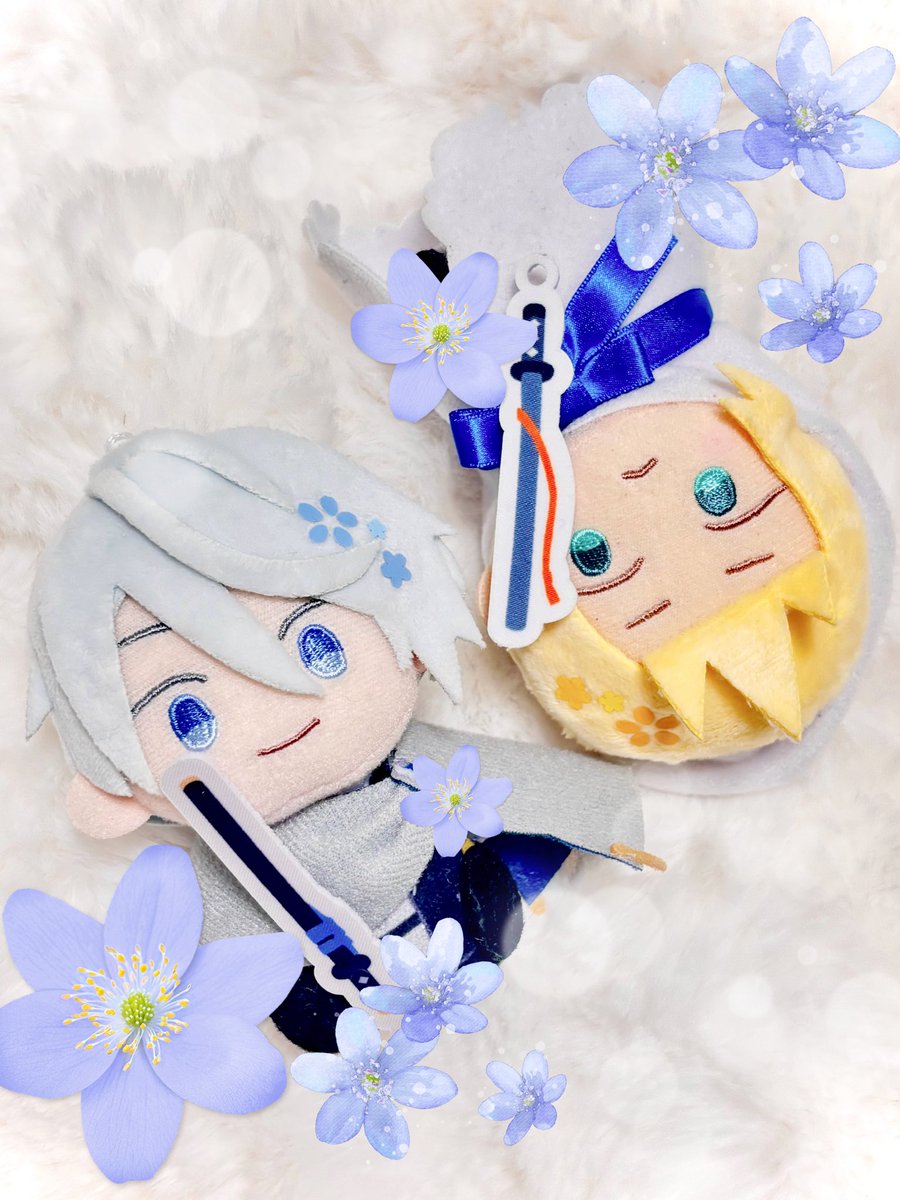 omusubi328's tweet photo. 伯仲燦然しちゃってる🌸 https://t.co/7U1LuntKIN