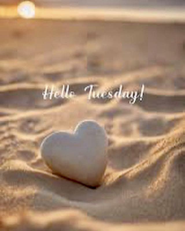 Have a wonderful day.☀️👋