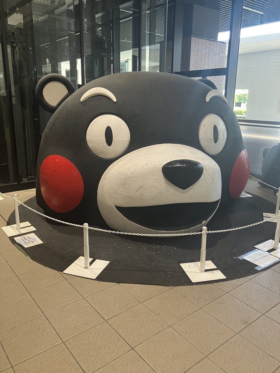 sach1sach1's tweet photo. でっっっっかいクマ https://t.co/RhQKQfgxUZ