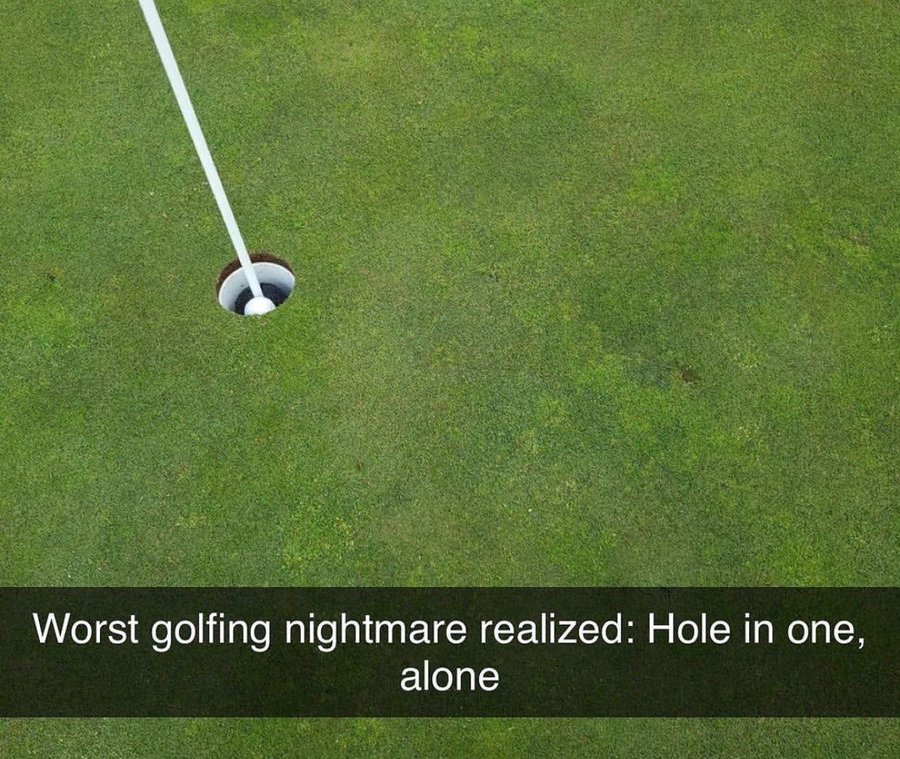 Would you want to hit a hole-in-one alone? 🤔 (Via: golf.obsession) #golftalk
