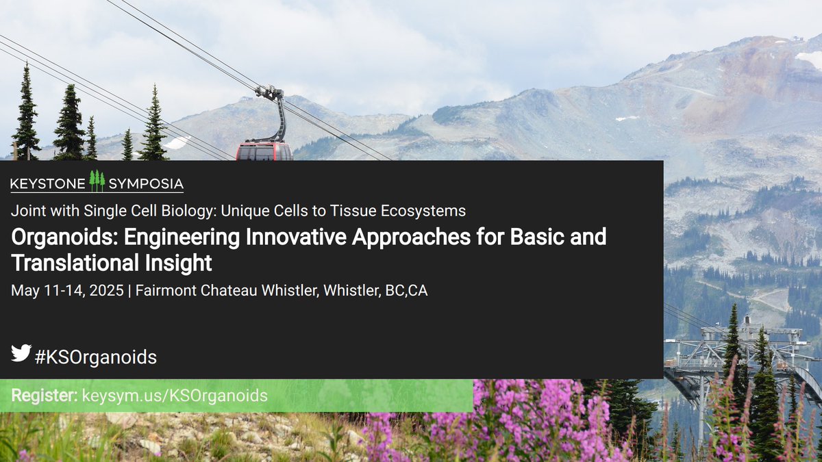 Cell Biomaterials (@cellbiomat) on Twitter photo We were so excited to see the innovative science at <a href="/KeystoneSymp/">Keystone Symposia</a>'s Organoids: Engineering Innovative Approaches for Basic and Translational Insight! Access the content now on-demand: hubs.li/Q037RhX_0 #KSOrganoids We were so excited to see the innovative science at <a href="/KeystoneSymp/">Keystone Symposia</a>'s Organoids: Engineering Innovative Approaches for Basic and Translational Insight! Access the content now on-demand: hubs.li/Q037RhX_0 #KSOrganoids