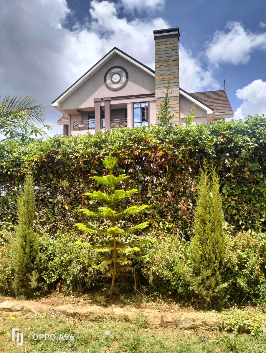 Susangicharu's tweet photo. Kamakis plots for sale

*Eighth acre plots on sale within a gated controlled community. 
* The area is ideal for immediate residential settlement.                 
Water and electricity on site.
Price 2.2M
#plotforsale #landforsale #RealEstate #kamakis
call/WhatsApp 0725 913 280 https://t.co/UpgqSPnWUi