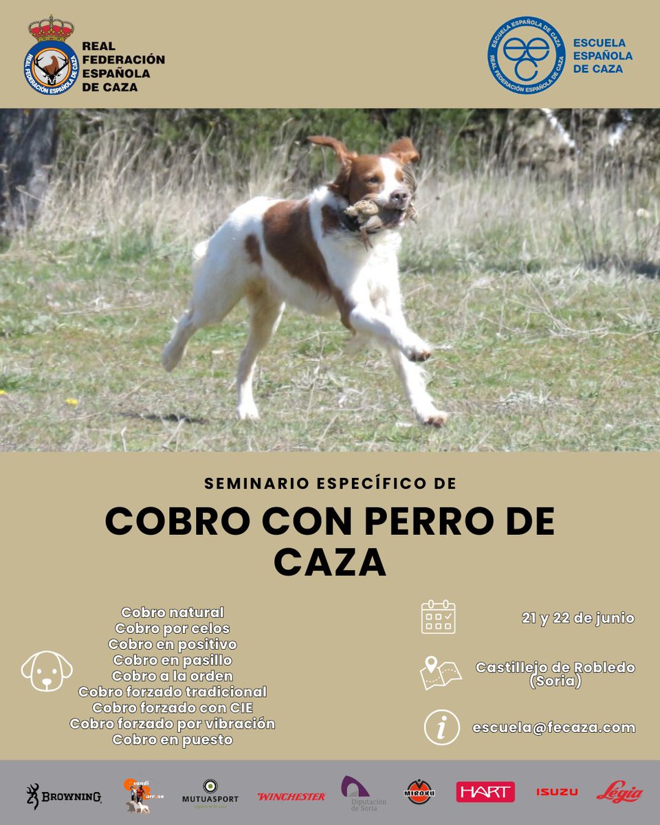 🧑‍🏫 La Escuela Española de Caza organiza en Soria un seminario específico sobre el cobro con perro de caza.

🆕 La formación, que tendrá lugar los días 21 y 22 de junio en Castillejo de Robledo, permitirá perfeccionar una de las habilidades más importantes en el trabajo del perro