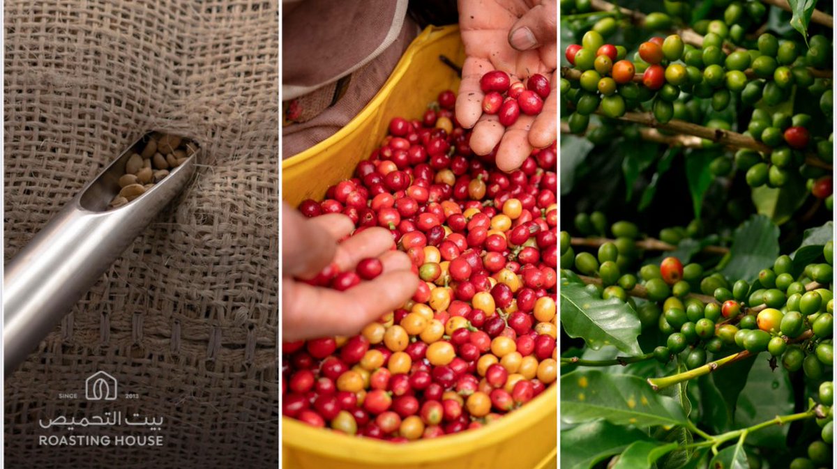 جريدة الرياض tweet media