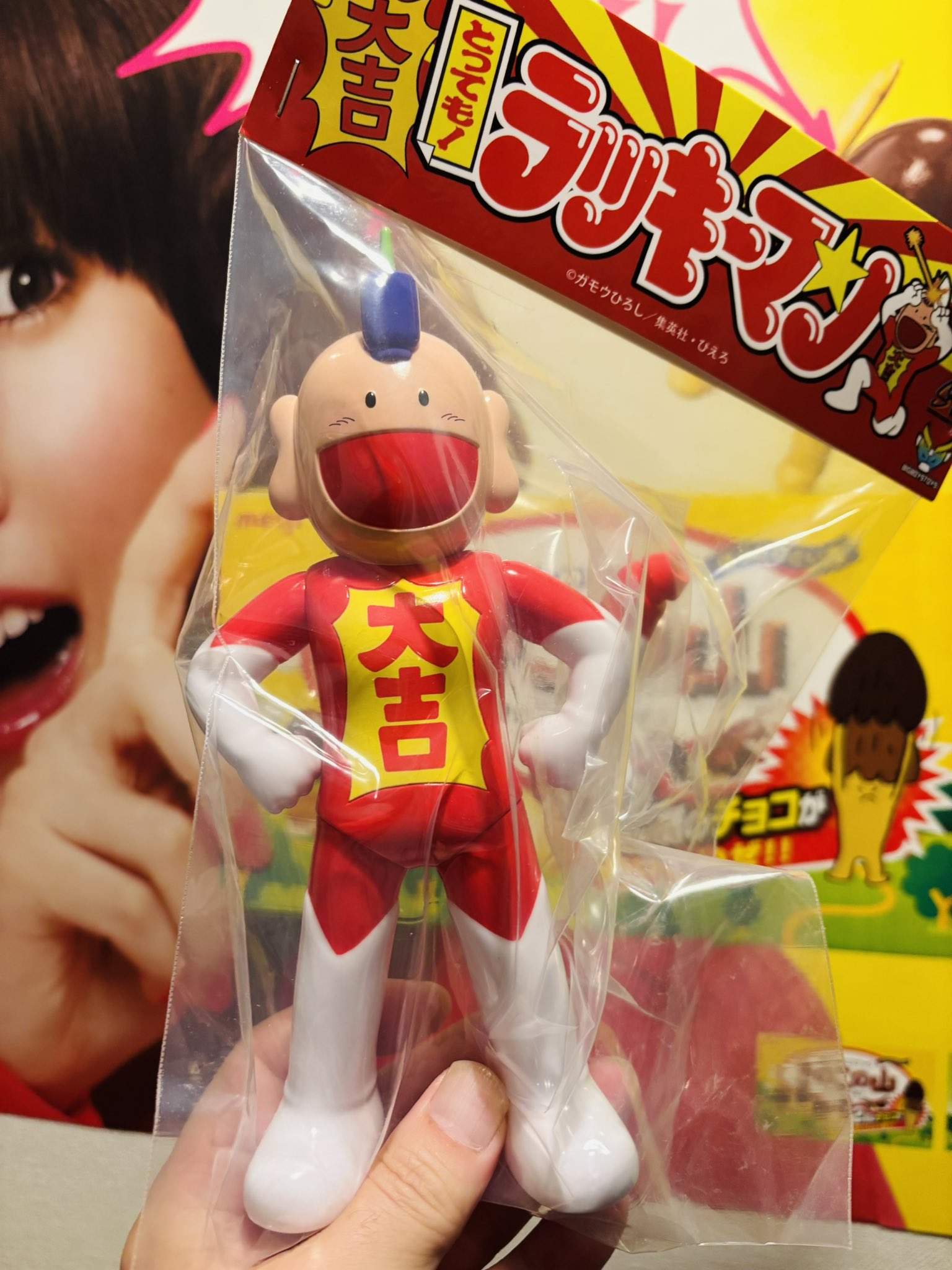 春vi亀 デハラユキノリ 未使用 キタンクラブ デハラユキノリの春画的動物ソフビ 春vi亀 デハラユキノリ 未使用 キタンクラブ デハラユキノリの