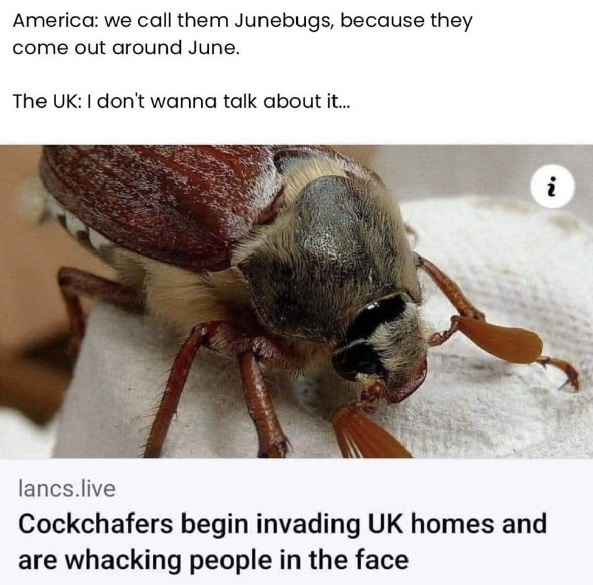 Heidi Gloom tweet media