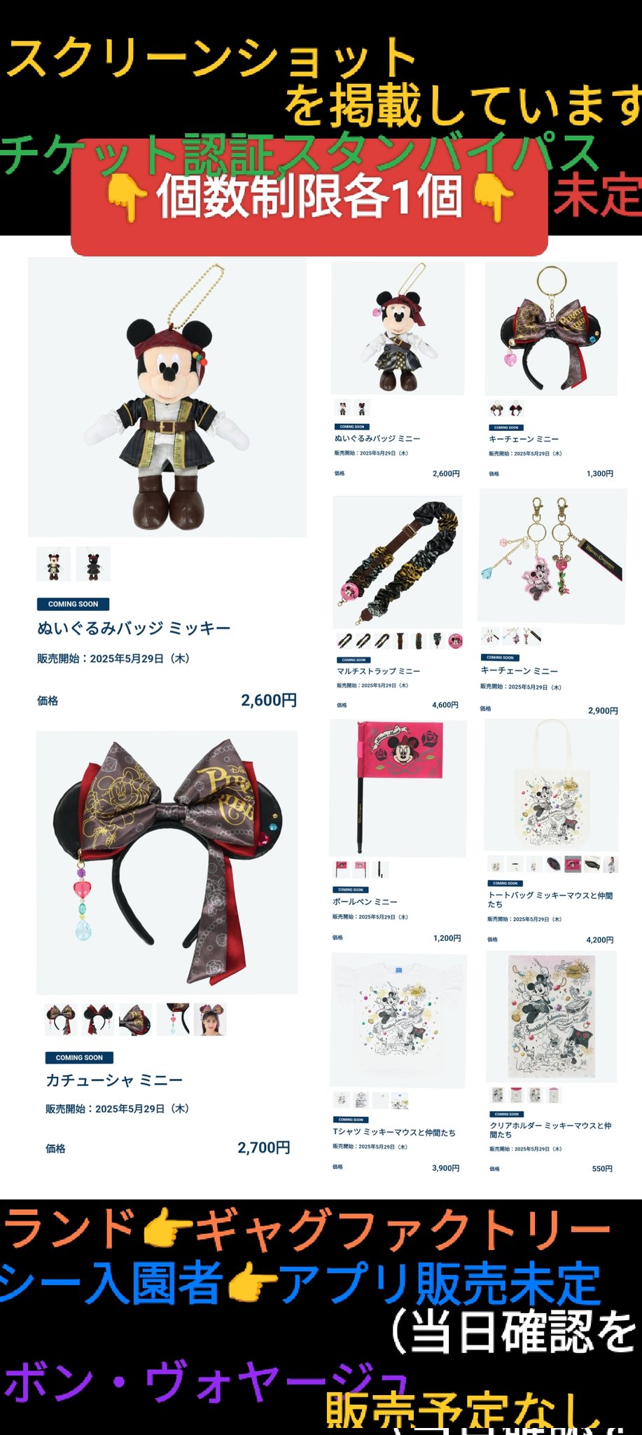 chiha0609様用ディズニーグッズ Amazon.co.jp: チップ＆デール ぬいぐるみバッジセット 20周年
