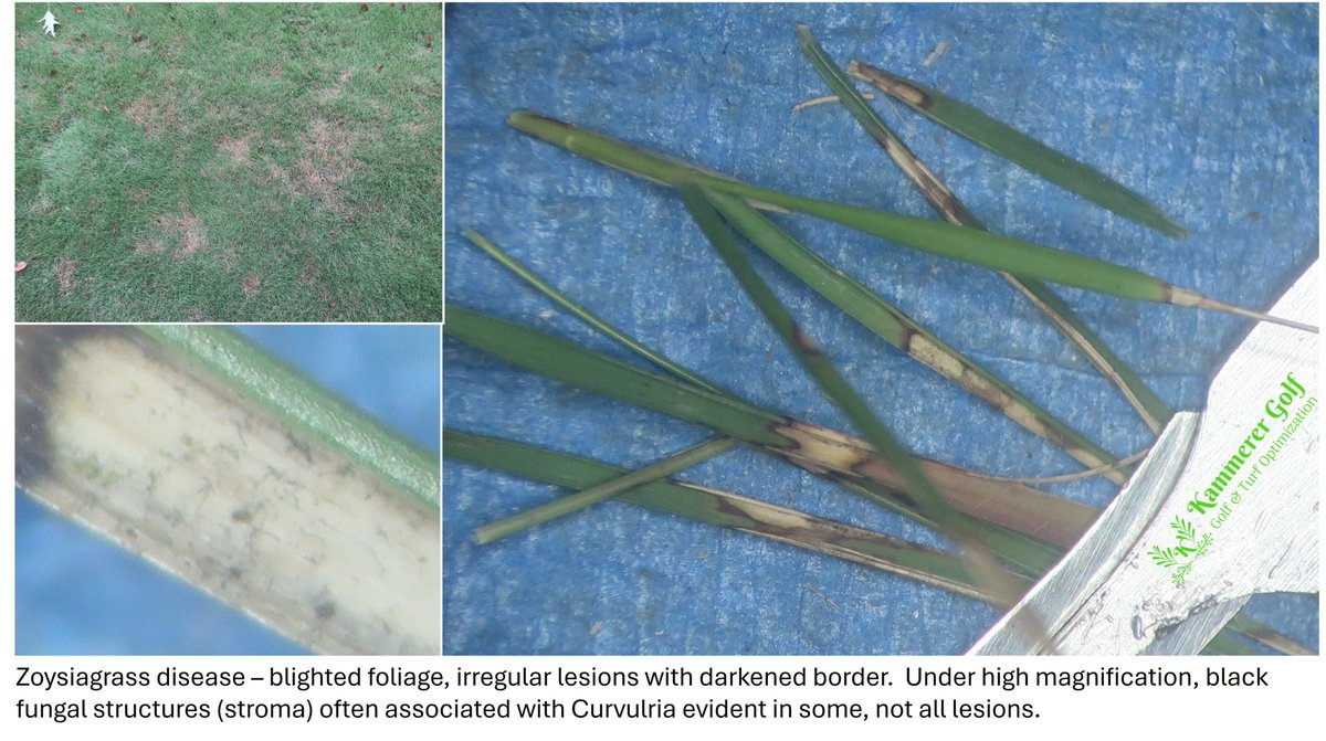 Steven Kammerer, PhD tweet media