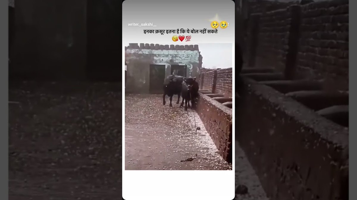 PubgTube4's tweet image. ◆ Pick Up !! ◆

subribe to my youe tube channel #shortvideo #mobilecreator #motivationalvideo #videos #shortvideo
PUBG MOBILE is.gd/d9Z2ai

#PUBGMOBILE
#PUBGモバイル