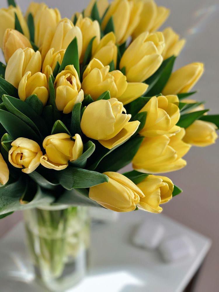 قوارير نحن قلوبنا رقيقة لا تحمل الأذى .✨

#بوح_الخواطر