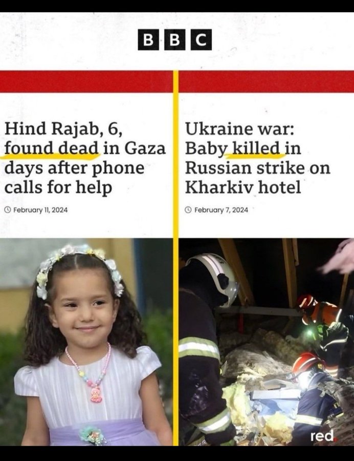 Irudia
