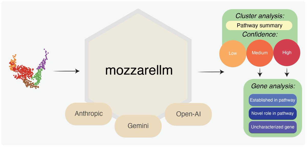 Matteo Di Bernardo tweet media