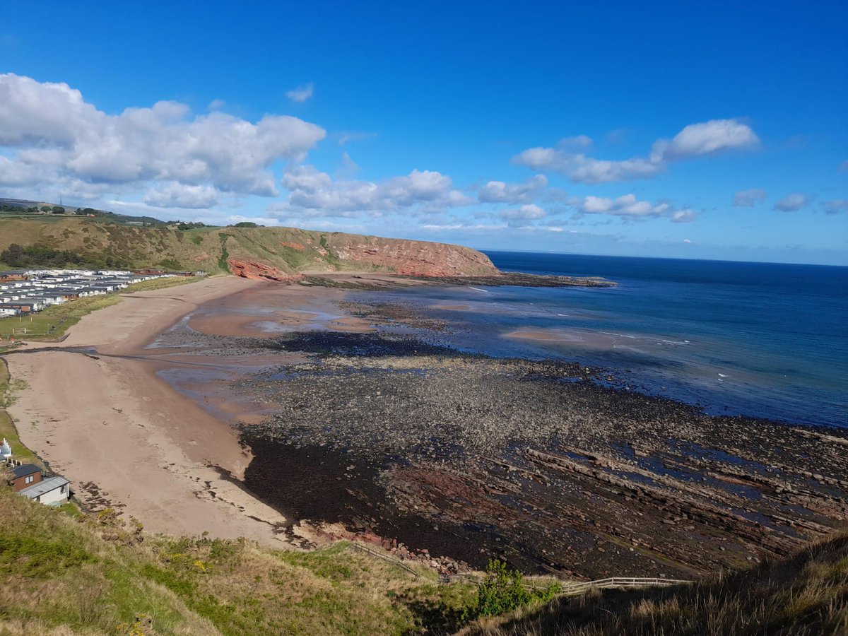 Mr Davies tweet media