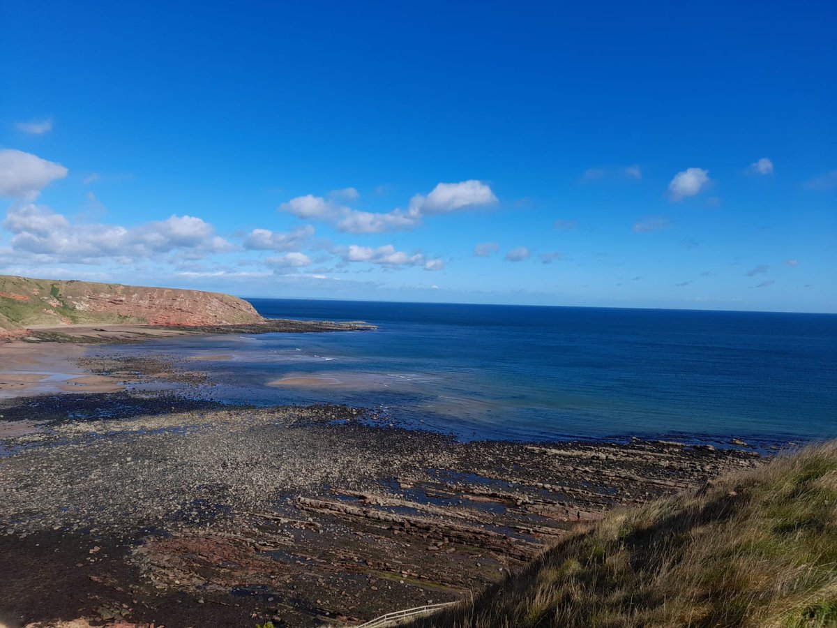 Mr Davies tweet media