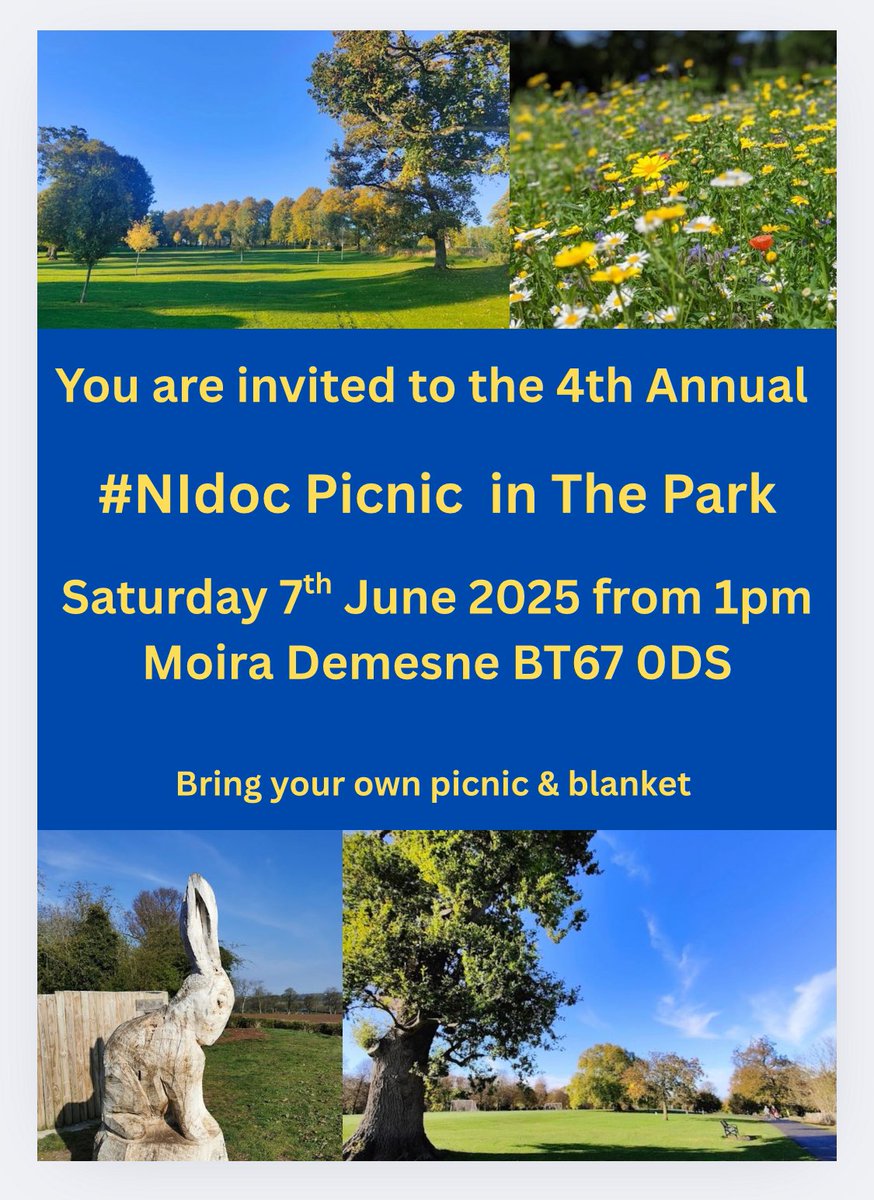 It’s time we had another wee social event. For those who are about on Saturday 7th June the #NIdoc wans will be in Moira Demesne with picnics and blankets. Hopefully we’ll see you there 💙