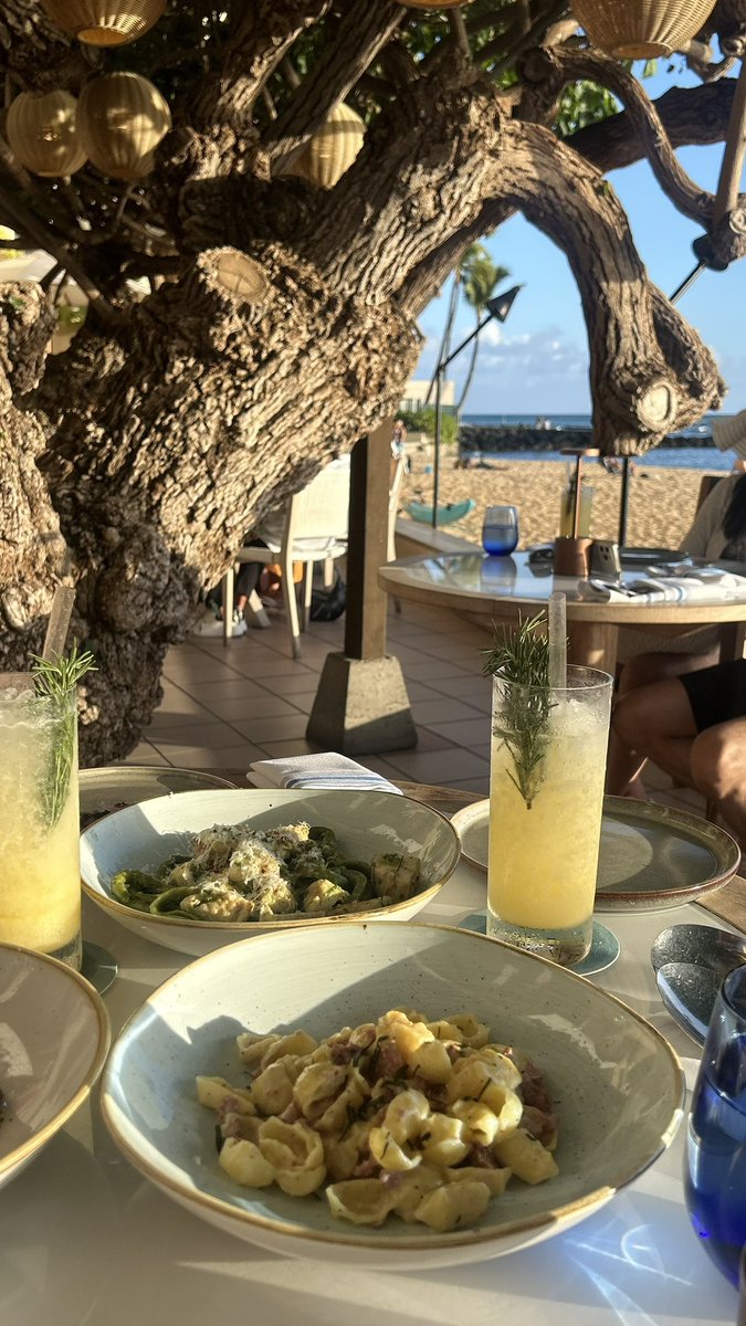 uru018863923601's tweet photo. ハワイのHau Treeが良すぎた〜〜🌳🕯
パワーもらえそう...🥺🫧

#Hawaii
#waikiki
#hautree
#旅行好きな人と繋がりたい https://t.co/3nFr3gDGfx