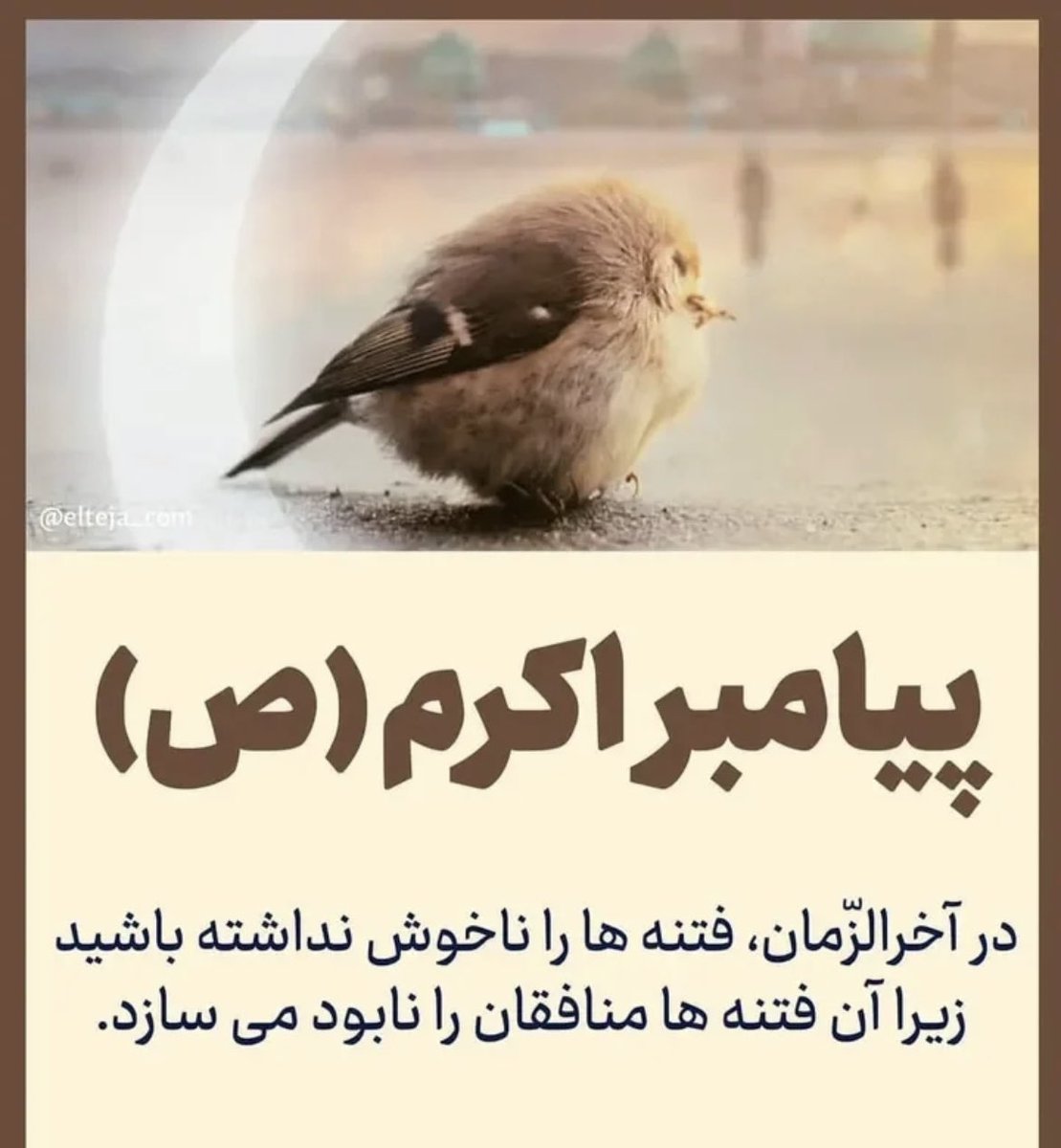 اللهم صل علی محمد و ال محمد و عجل فرجهم