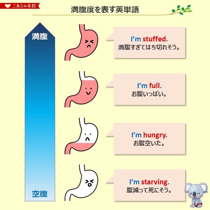 KoalaEnglish180's tweet image. こういうのサラッと言えるようになると英会話が楽しくなるんよな