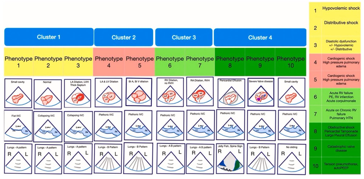 ‼️🧑🏻‍⚕️𝗗𝗶𝗮𝗴𝗻𝗼́𝘀𝘁𝗶𝗰𝗼 𝗱𝗲𝗹 𝗲𝘀𝘁𝗮𝗱𝗼 𝗱𝗲 𝘀𝗵𝗼𝗰𝗸💥📑
<a href="/CritCareClinics/">Critical Care Clinics</a> <a href="/ElsevierConnect/">Elsevier</a>
👇🏼👇🏼👇🏼👇🏼👇🏼
📑🔗🔑🔓
t.me/ClubCrit
⬇️⬇️⬇️

⚠️🫀¿𝘾𝙤́𝙢𝙤 𝙙𝙞𝙖𝙜𝙣𝙤𝙨𝙩𝙞𝙘𝙖𝙧 𝙘𝙤𝙧𝙧𝙚𝙘𝙩𝙖𝙢𝙚𝙣𝙩𝙚 𝙪𝙣 𝙚𝙨𝙩𝙖𝙙𝙤 𝙙𝙚 #𝙨𝙝𝙤𝙘𝙠?
𝘜𝘴𝘰