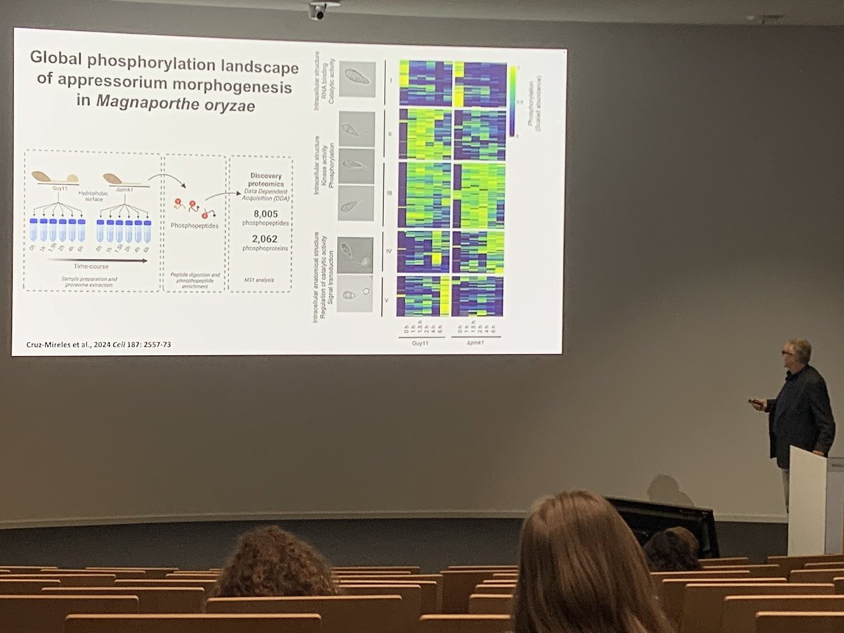 François Mayer (@francois_mayer1) on Twitter photo Awesome talk by Nick Talbot on „The regulation of infection-associated morphogenesis by the blast fungus Magnaporthe oryzae“ #EESInfection <a href="/EMBLEvents/">EMBL Events</a> <a href="/talbotlabTSL/">Nick Talbot</a> Awesome talk by Nick Talbot on „The regulation of infection-associated morphogenesis by the blast fungus Magnaporthe oryzae“ #EESInfection <a href="/EMBLEvents/">EMBL Events</a> <a href="/talbotlabTSL/">Nick Talbot</a>
