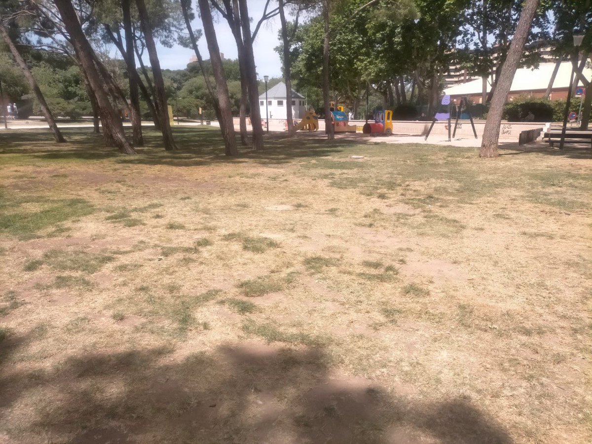 zaragozaencomun's tweet photo. ZARAGOZA NO FLORECE

La apuesta a un solo evento efímero, caro, que puede ser muy "bonito" pero cuyos efectos son devastadores.

Así ha quedado el Parque Grande José Antonio Labordeta 😢 https://t.co/eY9ZOm1vOE